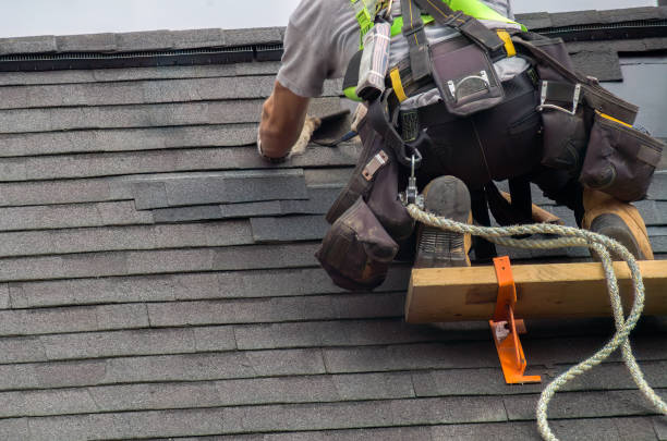 Best Roof Gutter Cleaning  in Hamburg, NJ