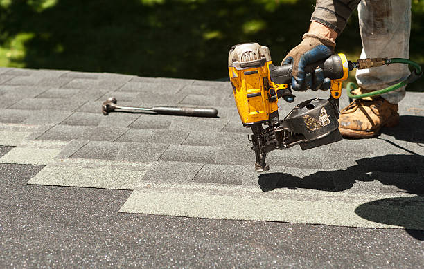 Best Storm Damage Roof Repair  in Hamburg, NJ